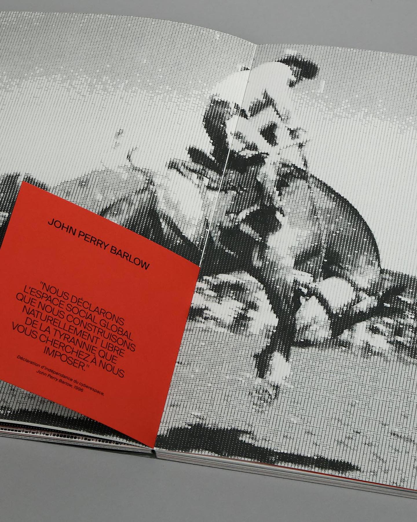 Livre à la typographie rouge sur une photo tramée en noir et blanc
